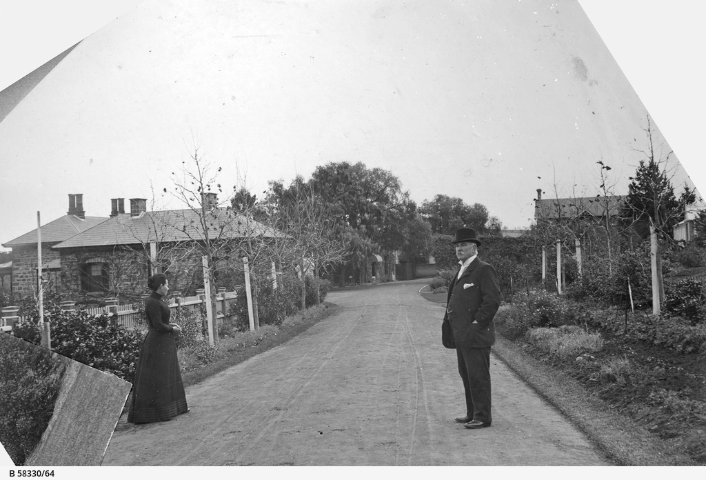 Figure SEQ Figure \* ARABIC 2: Henry and his wife, Helen, standing on the newly established carriageway, planted with English Oaks. Source: SLSA B 58330/64.