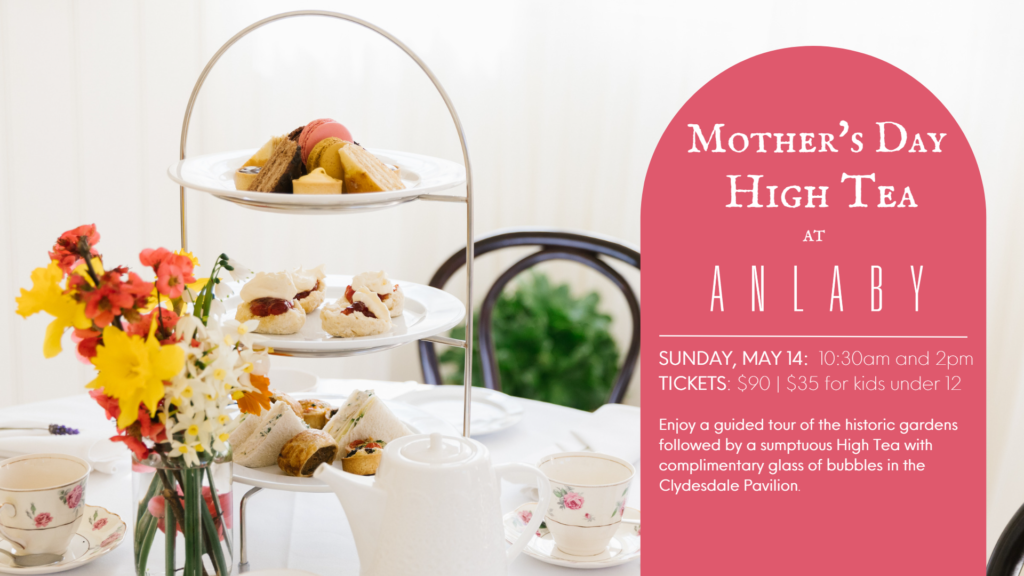 Mother's Day 2023 Anlaby High Tea
