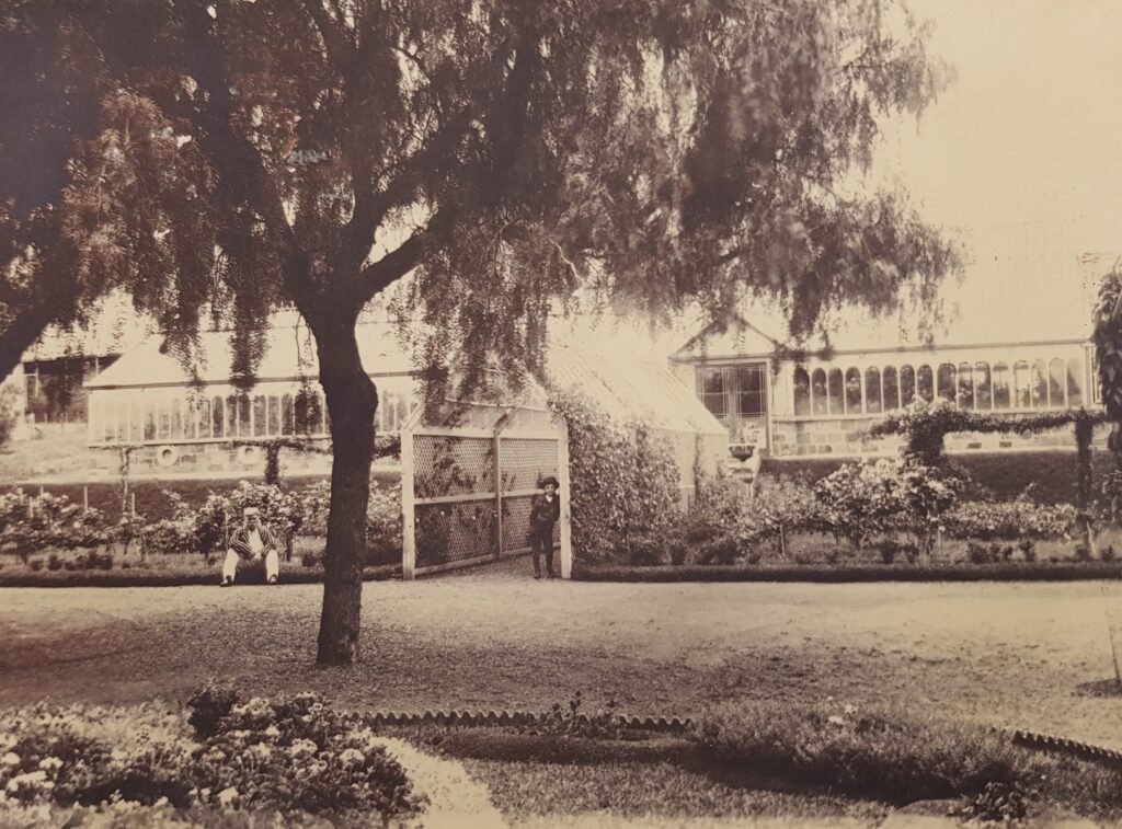 Figure 10: The first approach to the conservatory. Henry Dutton is visible sitting on the ground on the right. Source: SLSA PRG 396/233/210. With permission from the Dutton family.