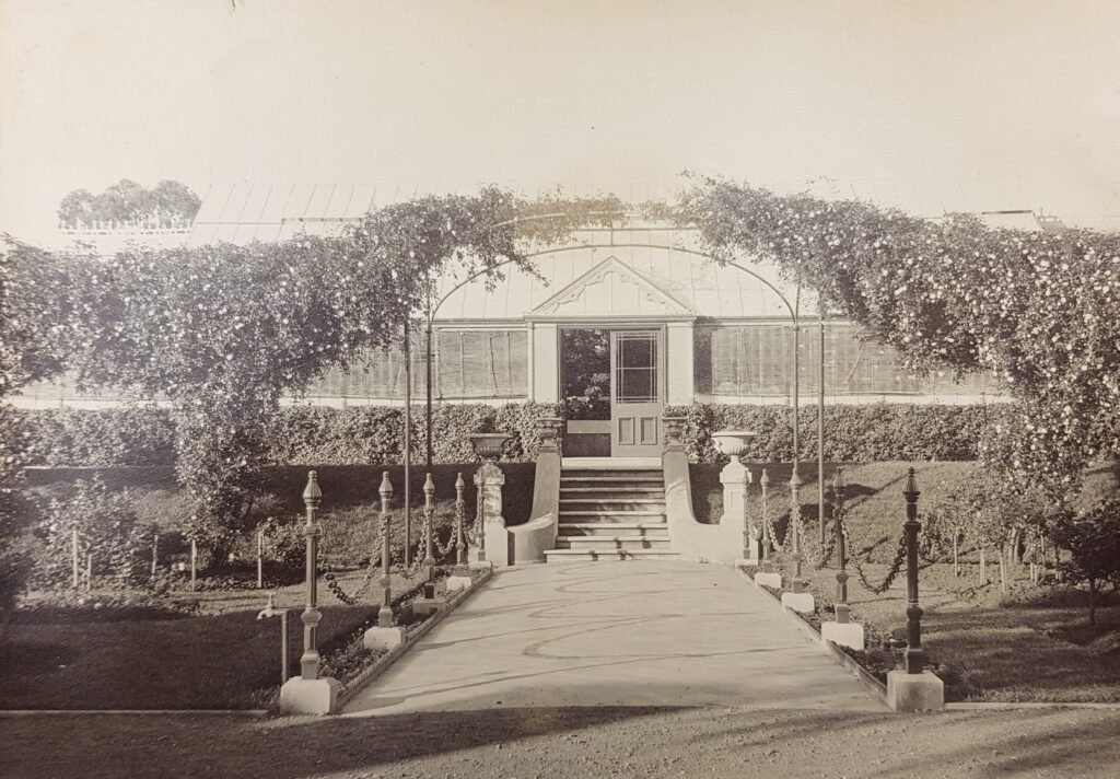 Figure 11: The second conservatory approach, c. 1896. Source: SLSA PRG 396/233/209. With permission from the Dutton family.