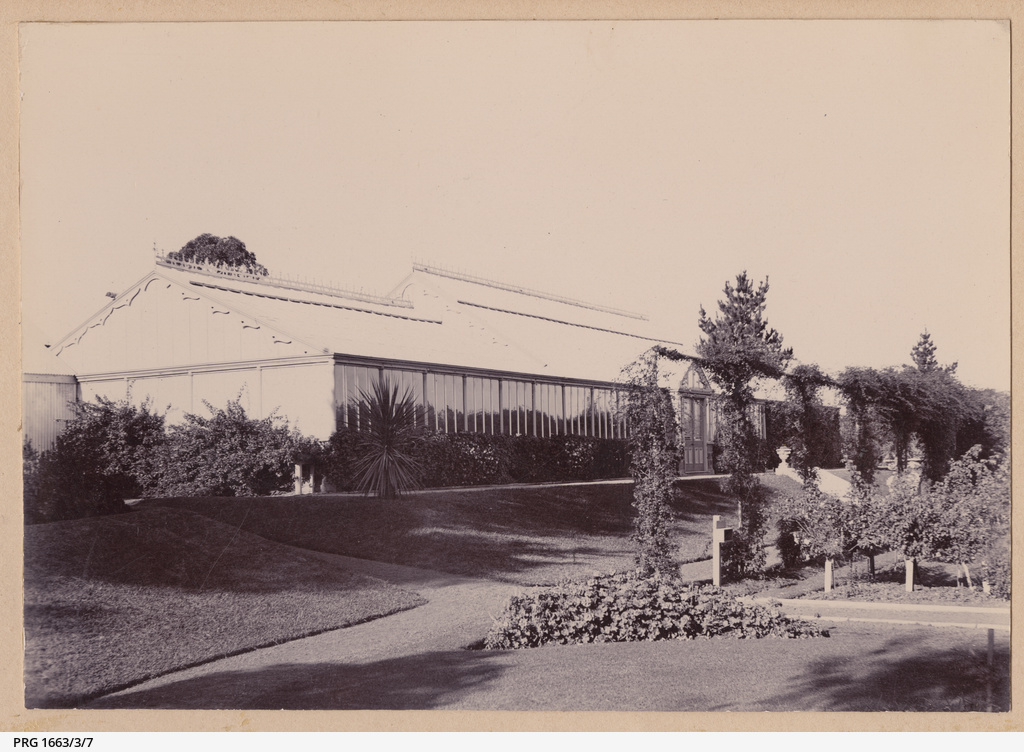 Figure 6: Anlaby's conservatory, looking from the western side, c. 1908. Note the different roof heights, which identify each section. Source: SLSA PRG 1663/3/7.