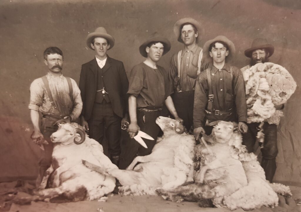 Figure 7: A team of shearers at Anlaby, circa 1890. Source: SLSA PRG 396/233/428. With permission from the Dutton family.