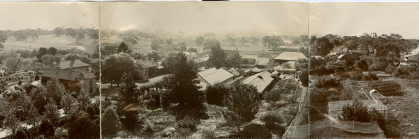 Figure 2: The magnificent view over the garden and house at Anlaby from the recently erected flagstaff, taken 24 October 1906. Source: SLSA PRG 396/233/1. With permission from the Dutton family.